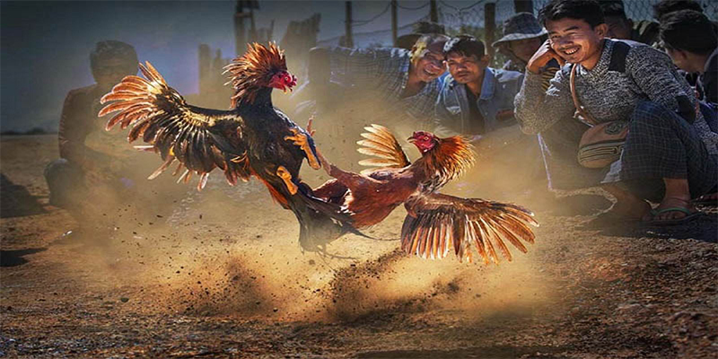 888new chơi bắn cá đổi thưởng