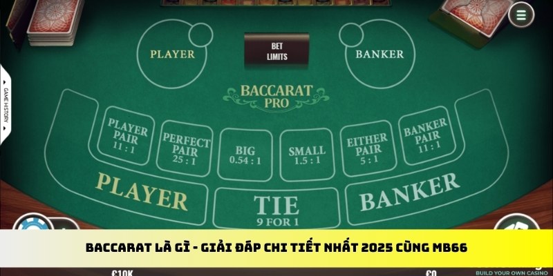 888new gà chọi cu cần