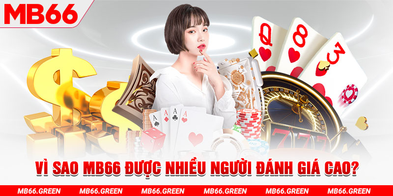 888new đá gà
