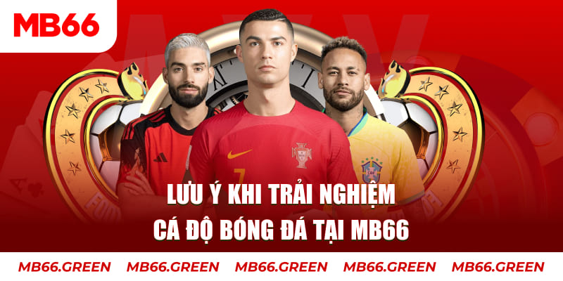 888new cá cược là gì