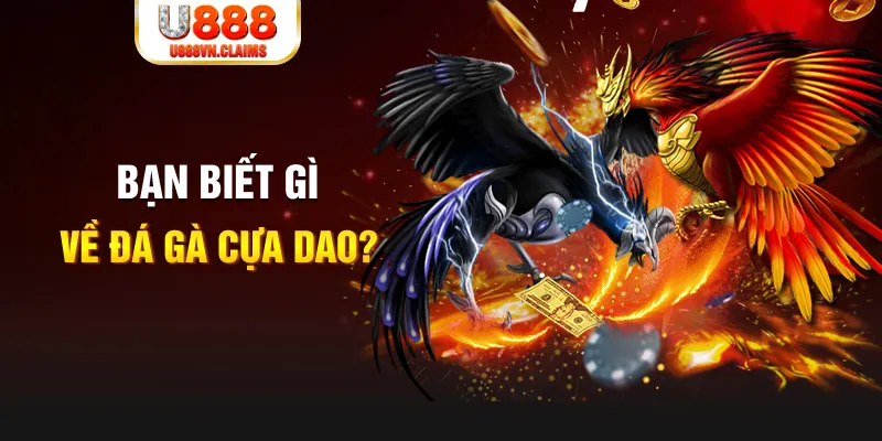 888new nổ hủ là gì