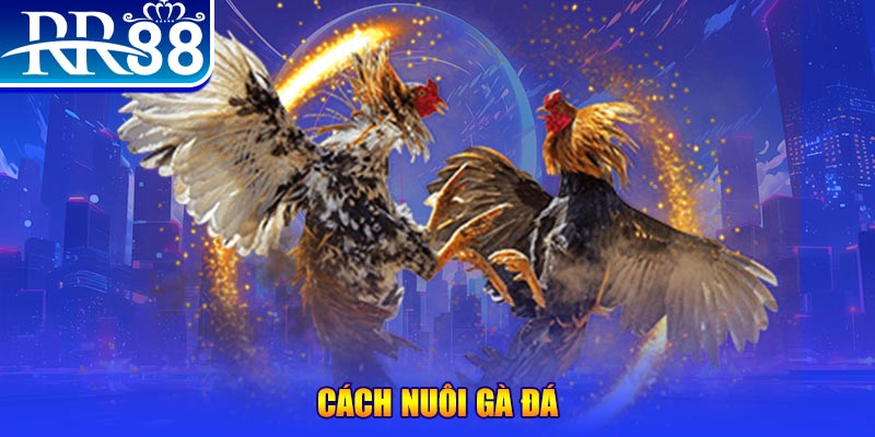 888new xổ số an giang