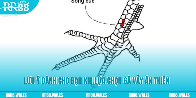 888new xổ số đồng nai