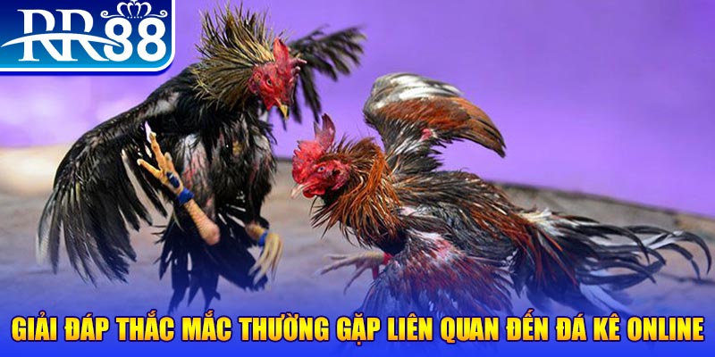 888new slot machine là gì