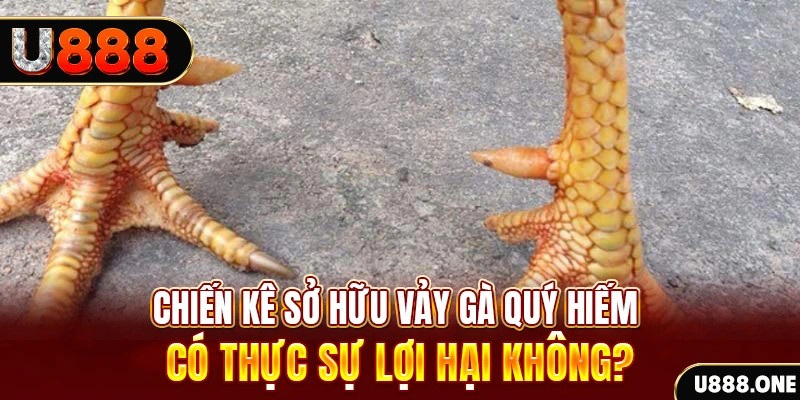 888new nohu .mx nổ hủ là gì