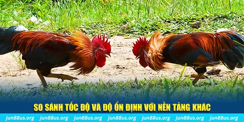 888new đá gà hôm nay