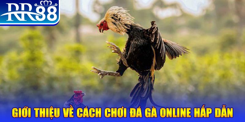 888new game nổ hũ rút tiền mặt là gì