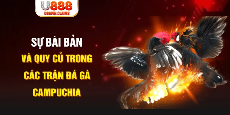 YGR Điện Tử