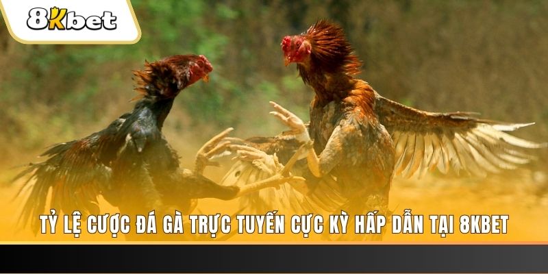 888new xổ số trực tiếp miền bắc