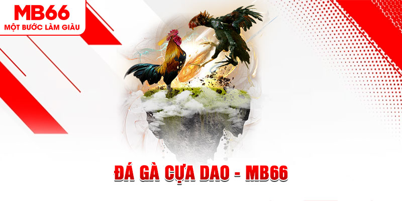 888new đá gà sv388 gold
